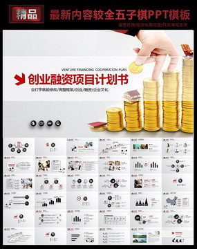 大氣商業策劃書創業計劃項目投資PPT模板